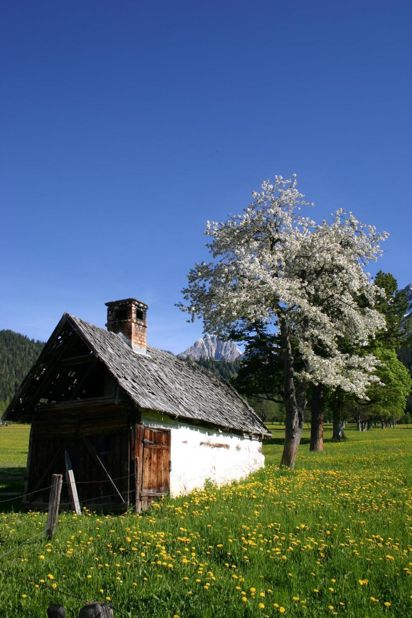 Sonnhof Hotel Ramsau am Dachstein Eksteriør billede